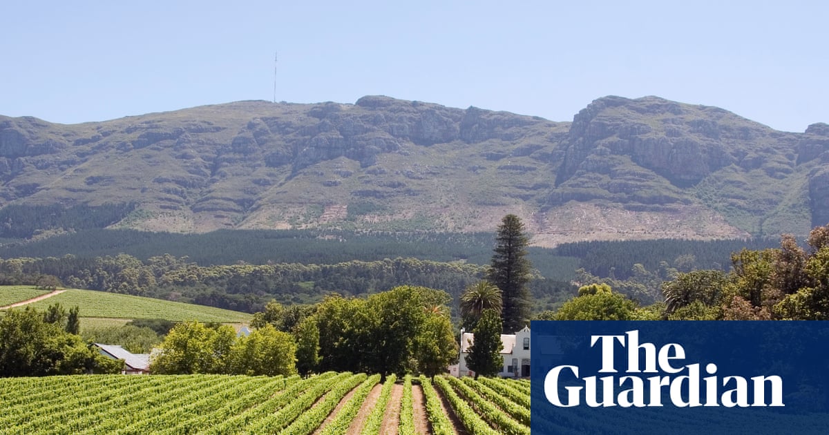 Célébration du Chenin, le Caméléon, le Raisin Mondial | Vin
