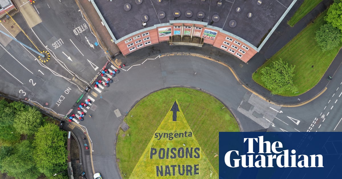 Plus de 40 arrestations après des militants britanniques contre les pesticides « tueurs d'abeilles » | Pesticides
