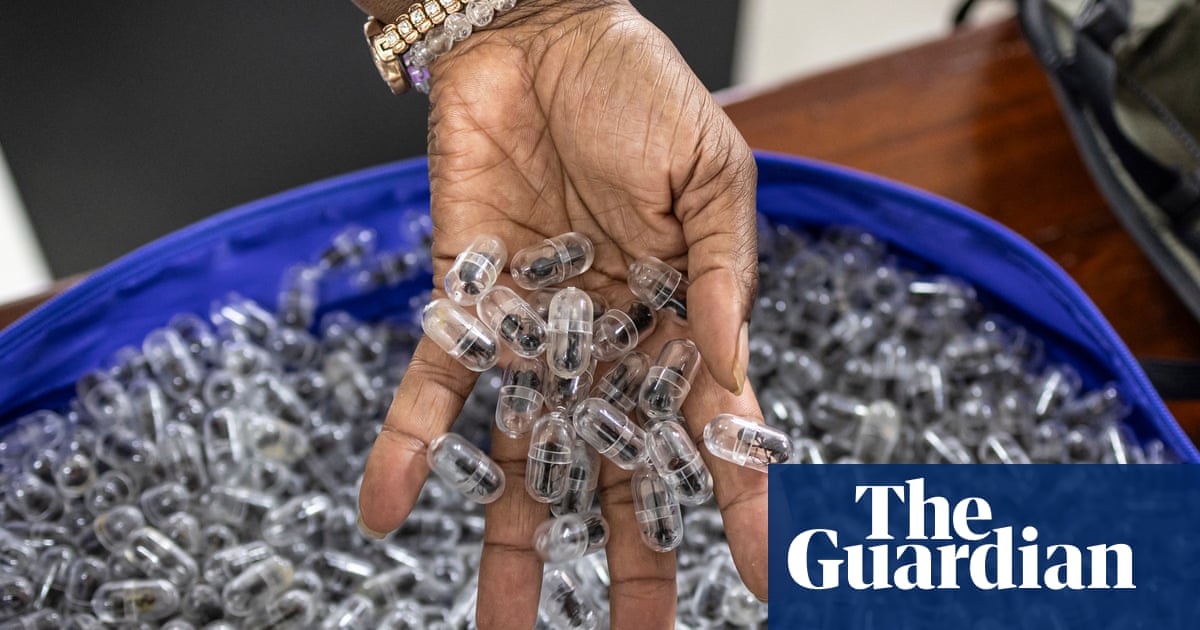 de contrebande dans des seringues : comment Nairobi est devenue une plaque tournante du marché noir des fourmis moissonneuses géantes | Commerce illégal d'espèces sauvages