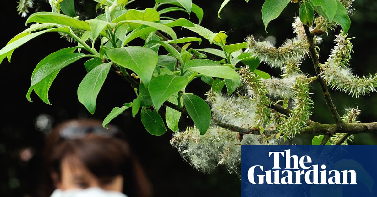 La crise climatique aggrave notre rhume des foins – et affecte notre jouissance de la nature | Environnement