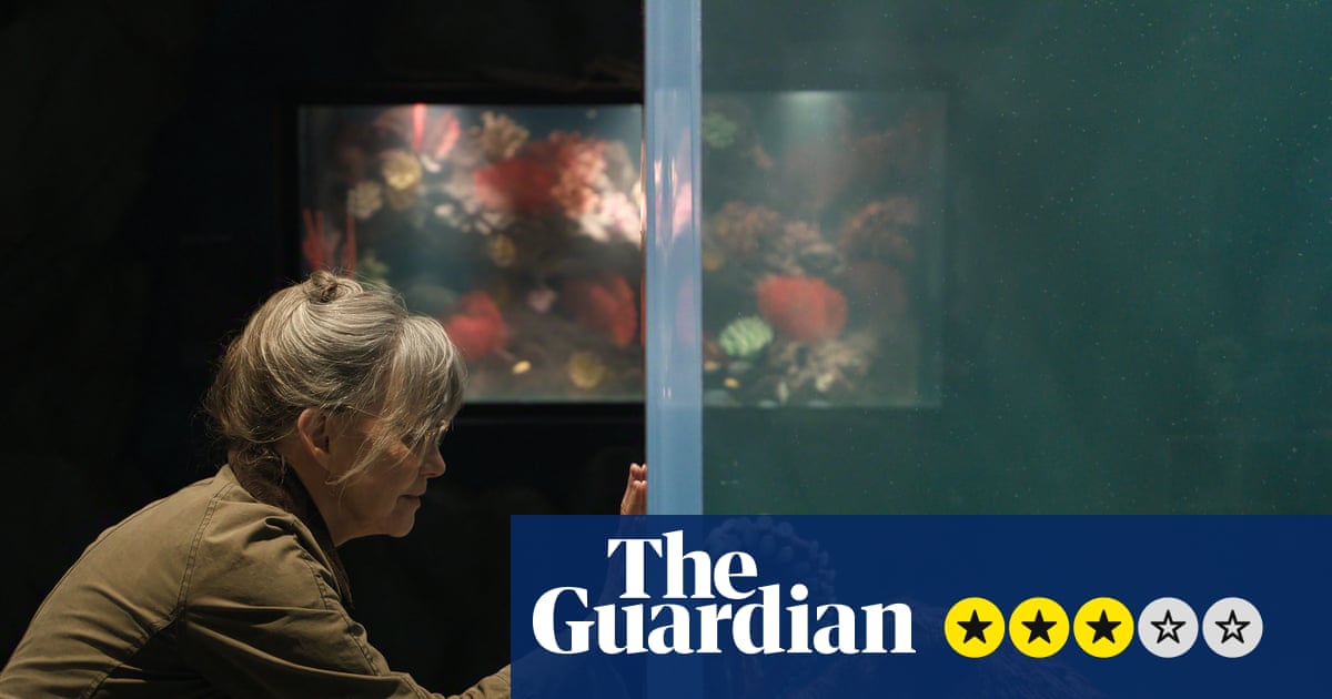 Revue de Remarkably Bright Creatures – Sally Field se lie d’amitié avec la pieuvre dans le doux charme de Netflix | Sally Champ