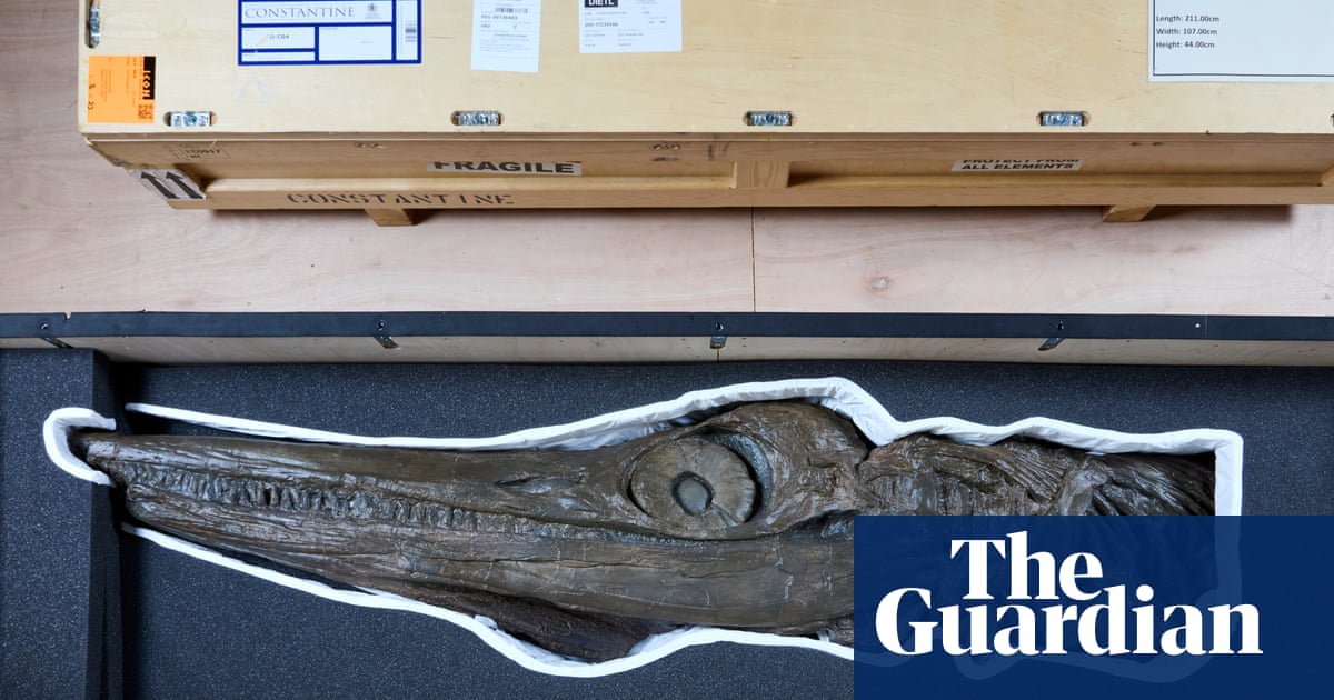 Tentacules, dents acérées et T-Rex des mers : Le Muséum d'histoire naturelle sur les animaux qui régnaient autrefois sur les océans | Musée d'histoire naturelle