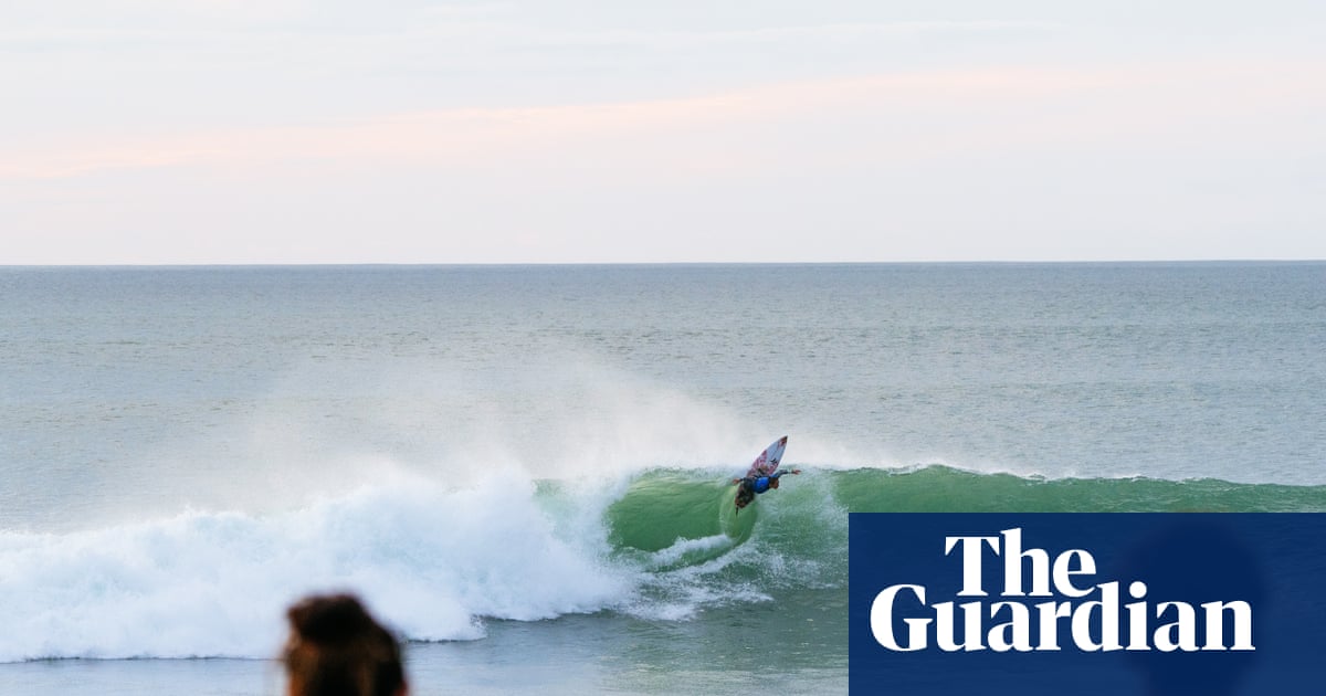 L'événement WSL en Nouvelle-Zélande suspendu après qu'un photographe australien ait été mordu par un « requin ou un lion de mer » | surf