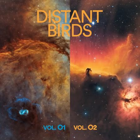 Critique de l'album : Distant Birds – « Vol 01 & Vol 02 » : Un voyage instrumental rythmé, significatif et fascinant.