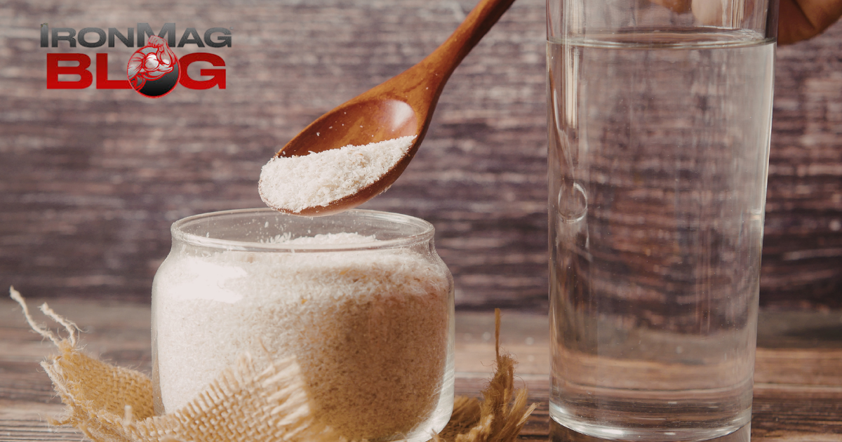 Kann eine Ballaststoffergänzung beim Gewichtsmanagement helfen? – IronMag Bodybuilding- und Fitness-Blog