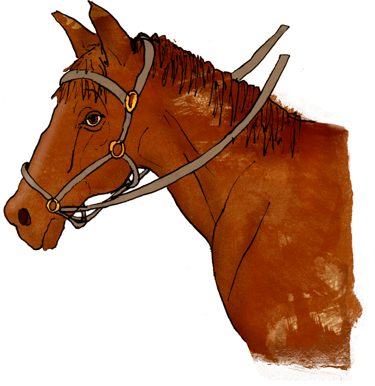 An illustration of a brown horse’s head and neck, wearing a bridle with reins, against a plain white background.