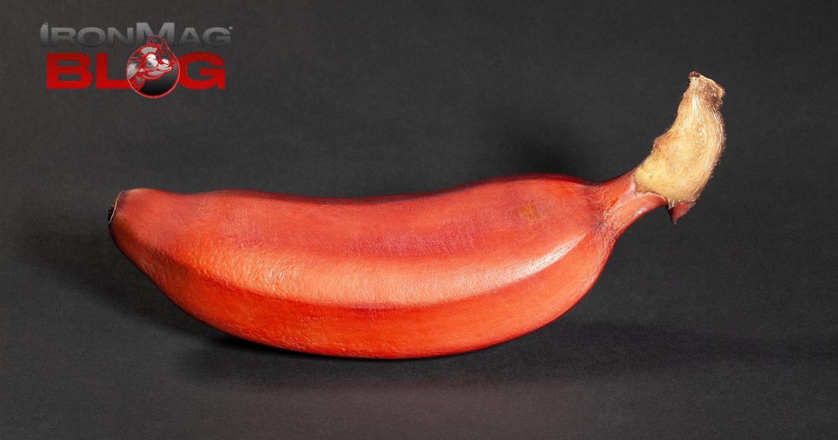 7 bienfaits fous des bananes rouges pour la santé – IronMag Bodybuilding & Fitness Blog