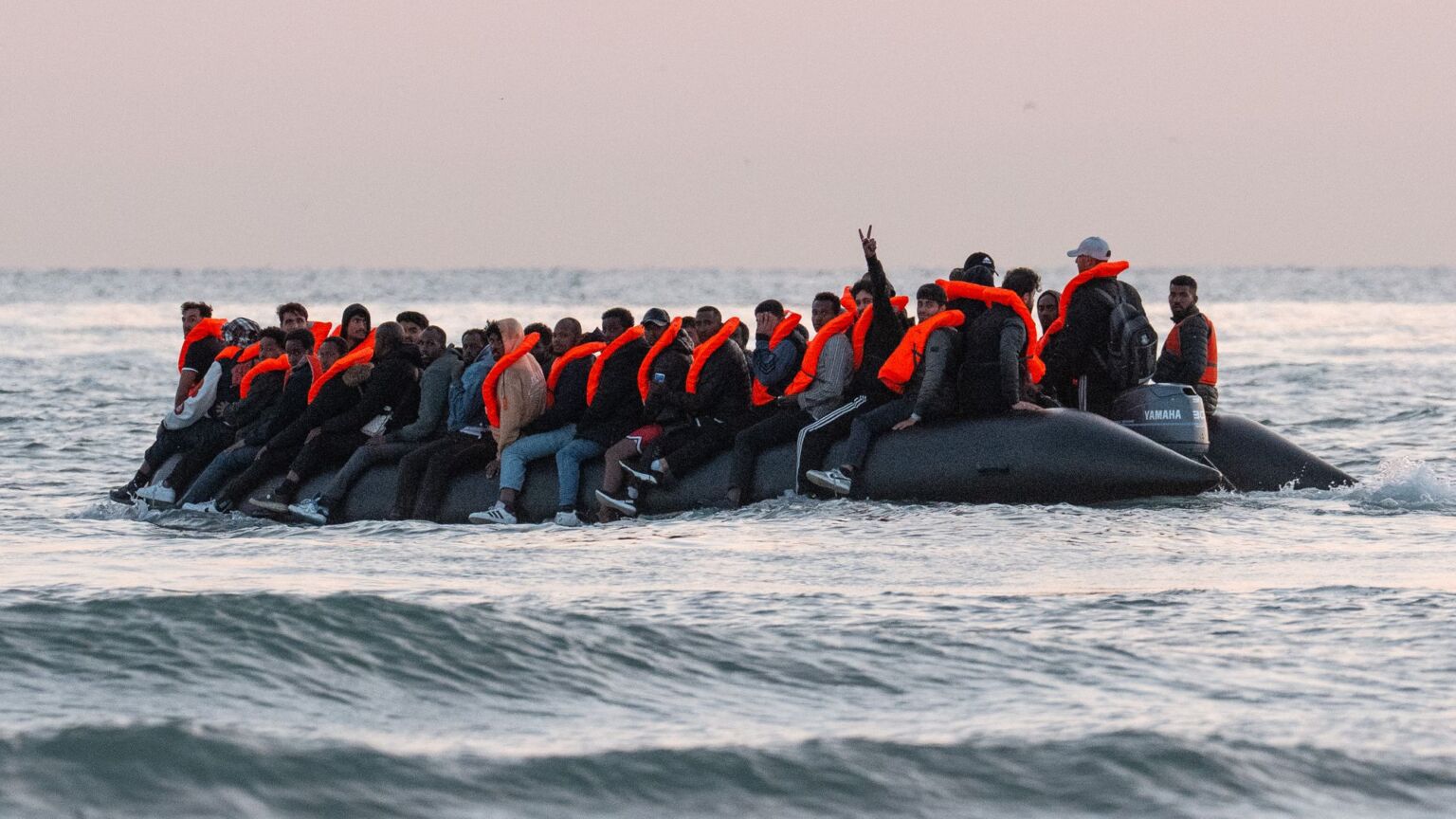 Le gang des soins aux petits bateaux – poivré
