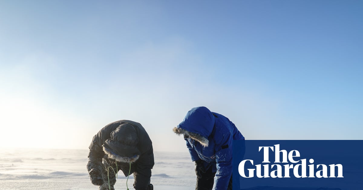 Le plan audacieux pour recongeler l'Arctique – Podcast | Science
