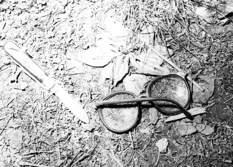 A knife and glasses lay on the ground on top of grass and dirt.