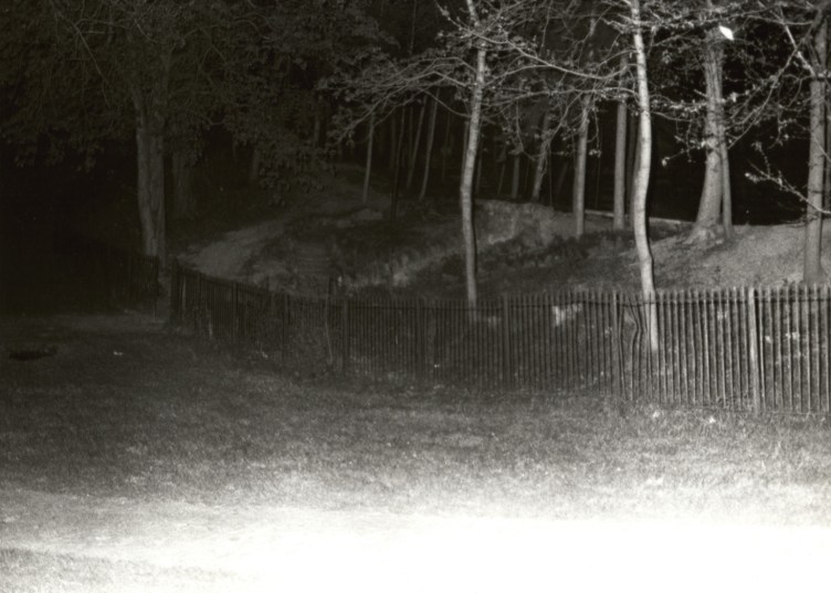 A dark photograph of a park with a fence running through it. Behind the fence are small trees.