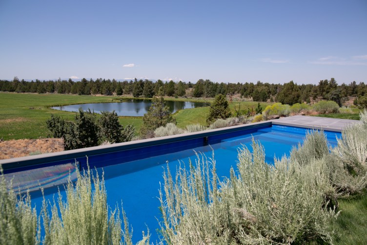 A bright blue swimming pool in the foreground, and behind it a large green lawn, a pond, and in the background, a forest and snow-capped mountains.