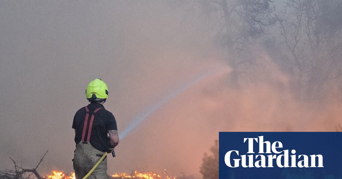 Incident grave signalé alors que 90 pompiers luttent contre l’incendie de forêt de Suffolk Heath | Suffolk
