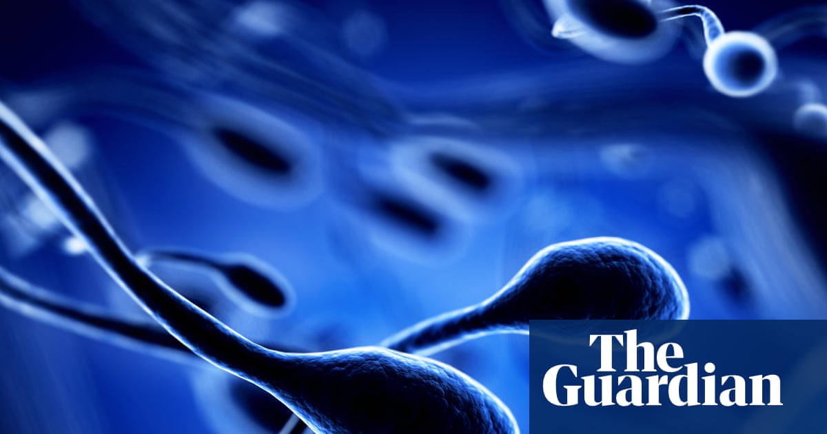 Une recherche montre que la pollution de l'air est liée aux modifications de l'ADN des spermatozoïdes | génétique