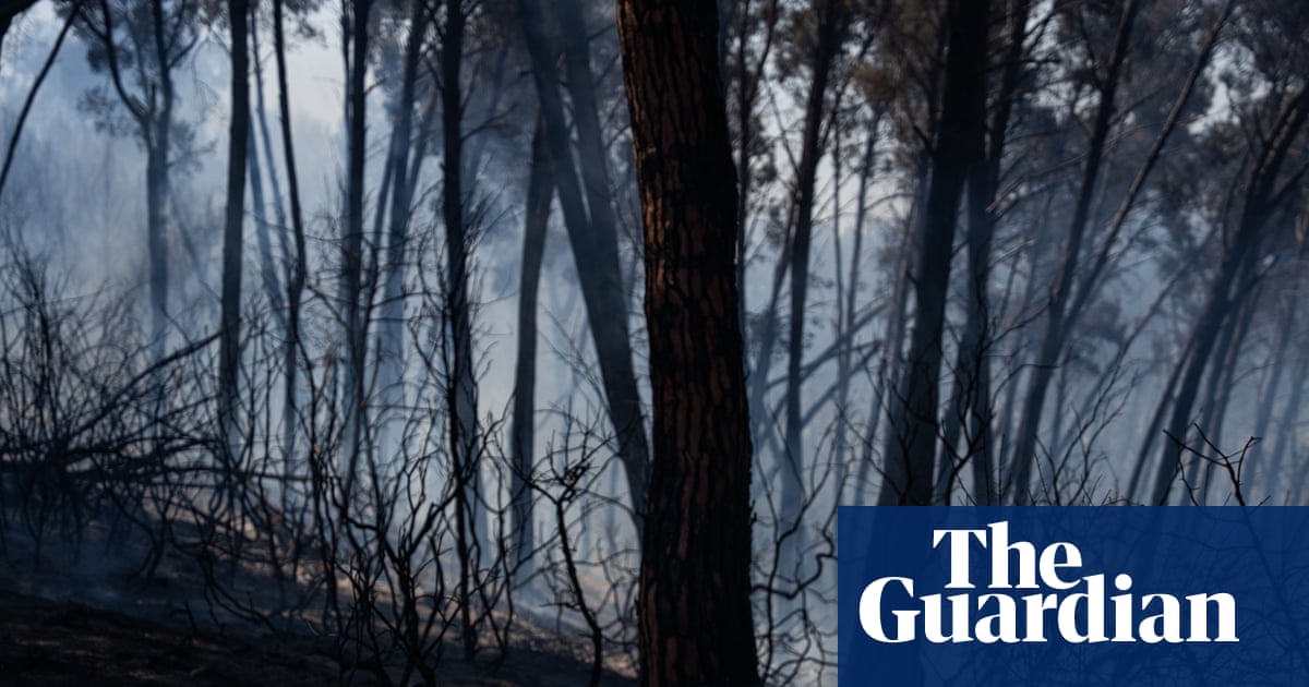 Les incendies de forêt dans le sud de l’Espagne tuent 12 personnes alors que les températures augmentent | Espagne