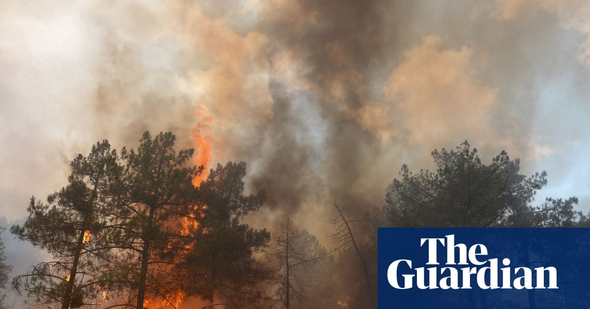 Plus de 250 000 personnes fuient les incendies de forêt en France et en Espagne | Feux de forêt