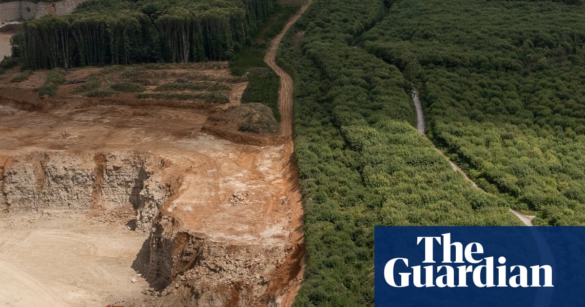 Campaigners rail against ‘plundering’ of ancient Kent woodland to make way for quarry expansion | Trees and forests