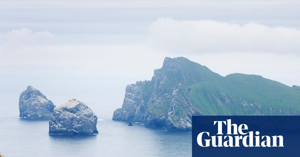 Les eaux britanniques touchées par une vague de chaleur extrême alors que les températures mondiales de la mer atteignent un record | Chaleur extrême