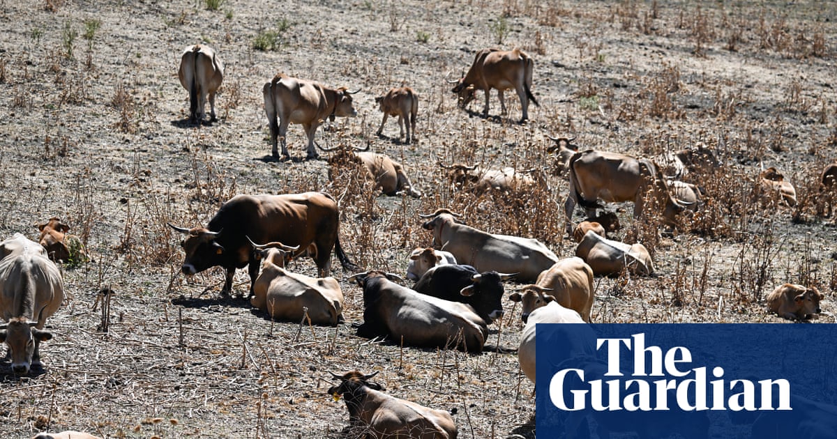 L’Europe occidentale enregistre le mois de juin le plus chaud jamais enregistré alors que les vagues de chaleur s’intensifient | Crise climatique