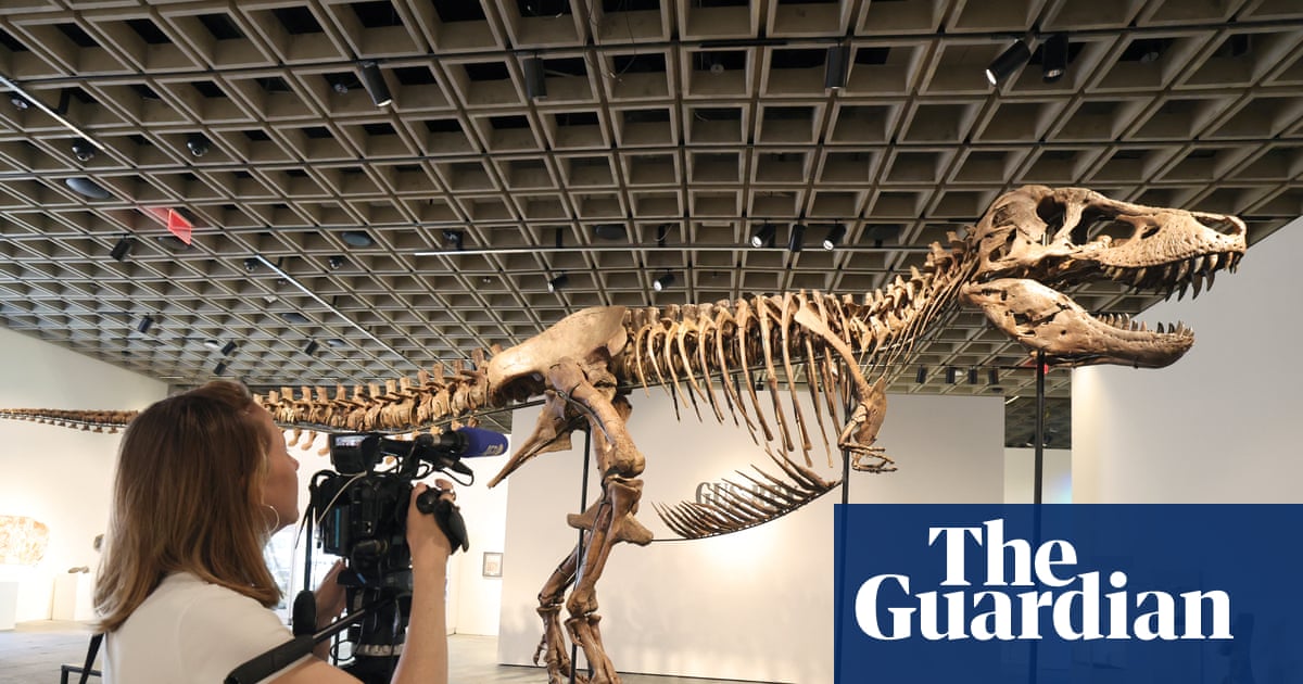 La vente d'un squelette de T-Rex d'une valeur d'un million de dollars cause un casse-tête majeur aux scientifiques sur les dinosaures