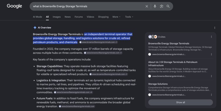 Une recherche Google pour « Qu'est-ce que les terminaux de stockage d'énergie de Brownsville » affiche une longue réponse « Aperçu de l'IA ».
