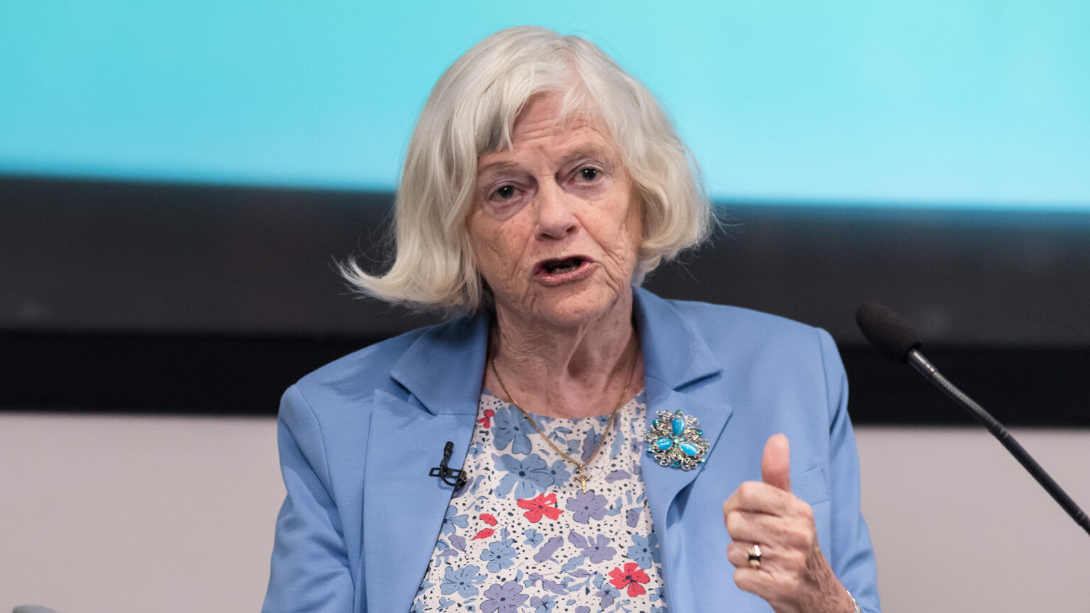 L'enquête sur le meurtre d'Ann Widdecombe a choqué la Grande-Bretagne
