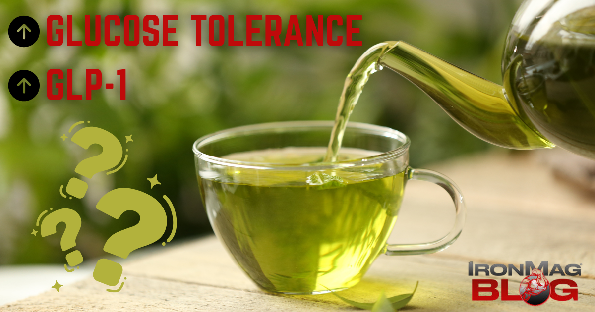 Le thé vert peut-il augmenter la tolérance au glucose et au GLP-1 ? – Blog de musculation et de fitness IronMag