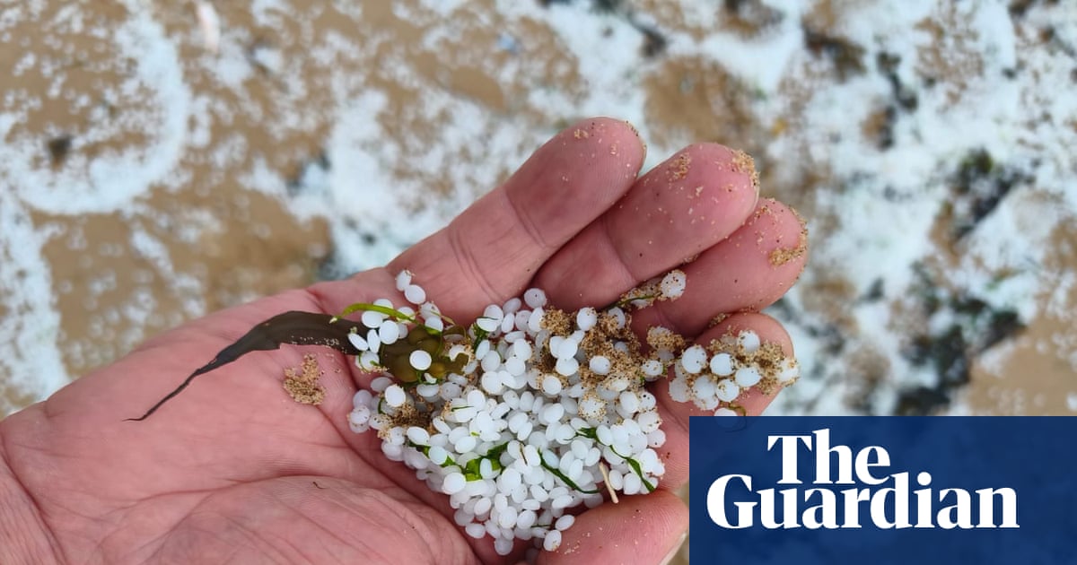 Country diary: We’re going on a nurdle hunt | Coastlines