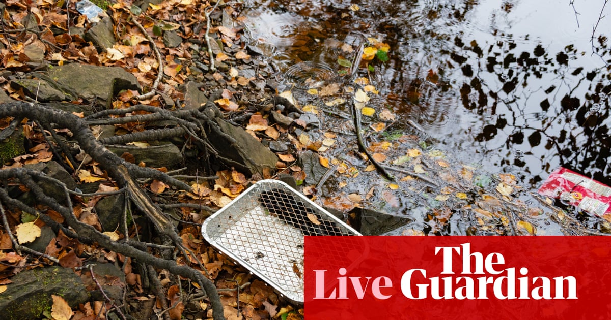 Burnham urges retailers to stop selling disposable barbecues after emergency Cobra meeting – UK politics live | Politics