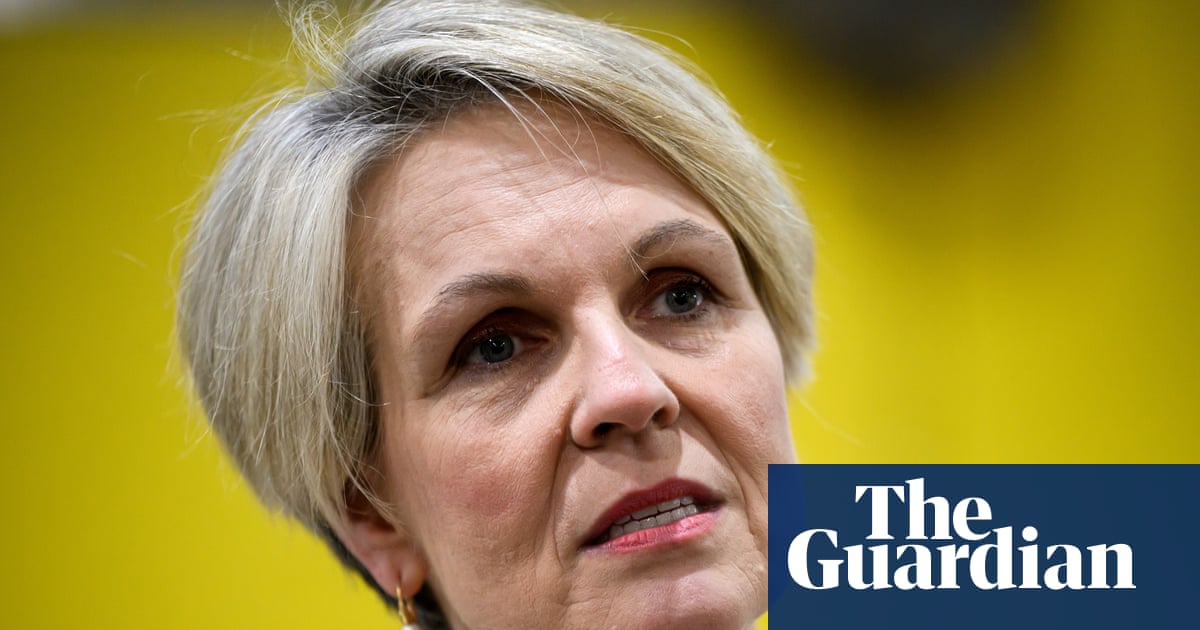 Australia could make social media algorithms optional and follow UK ban on pornography depicting strangulation | Australia news