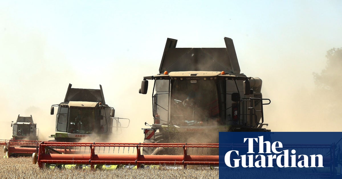 Ukraine war briefing: Zelenskyy warns Egypt of food supply threat caused by Russian strikes in Black Sea | Russia