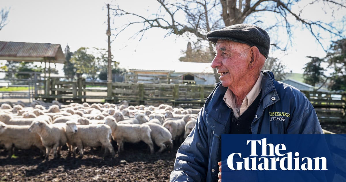 After decades of decline, New Zealand’s wool industry is making a comeback | New Zealand