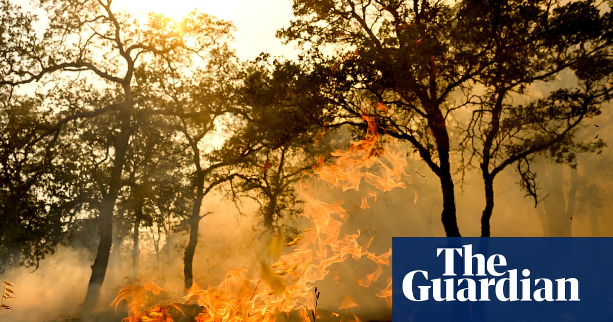 At least one person dead in California wildfire allegedly sparked by chainsaw | California wildfires