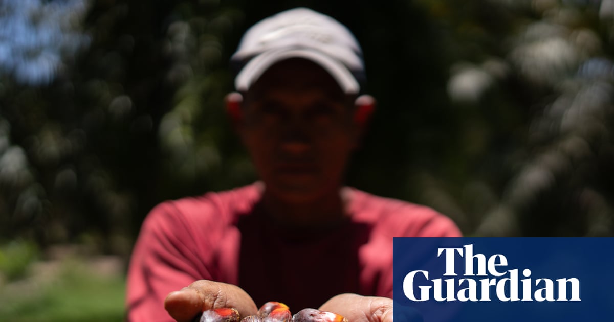‘Danger no longer only comes from the hitmen, but from the state’: the Honduran farmers labelled terrorists for protecting their land | Land rights