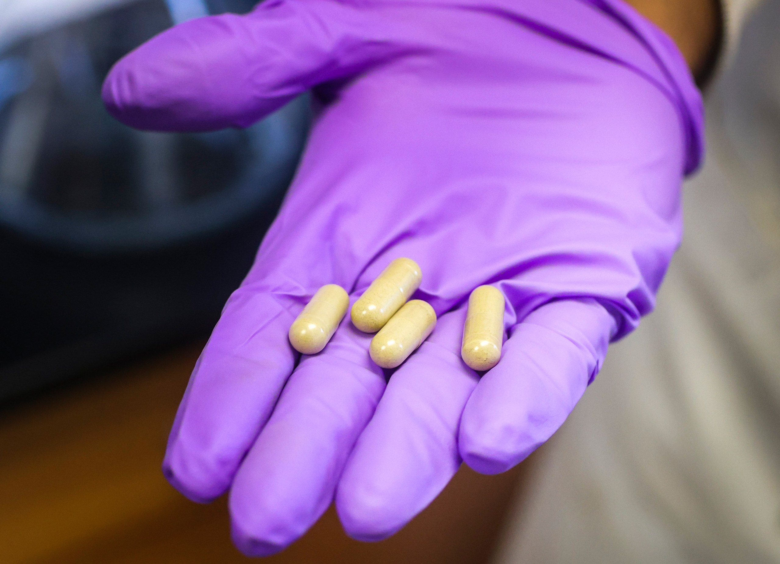 A hand wearing a purple glove holds four capsules containing a yellowish powder.