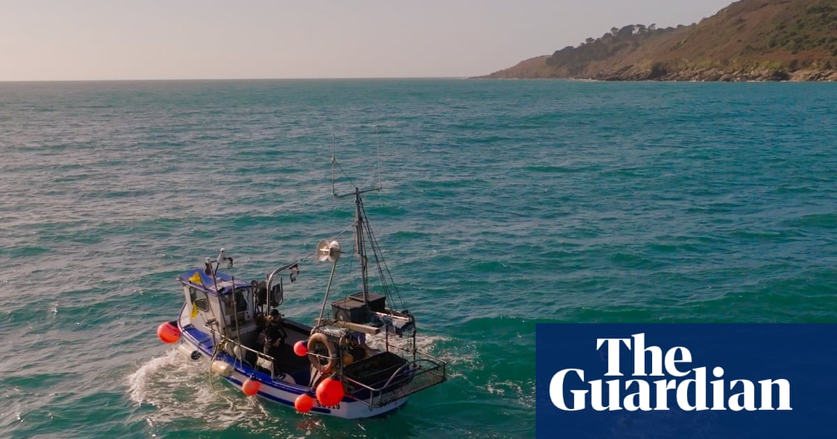 Floating scarecrows: how Cornish fishers are stopping seabirds drowning in their nets | Fishing