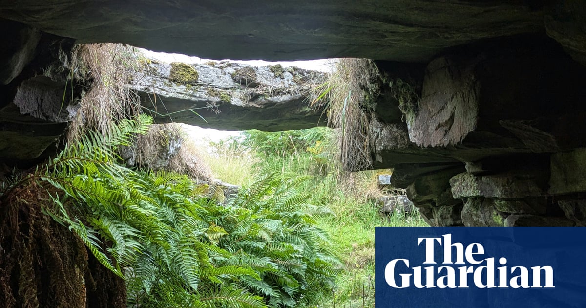 Country diary: A dreadful den of murder and thievery – or is it? | Rural affairs