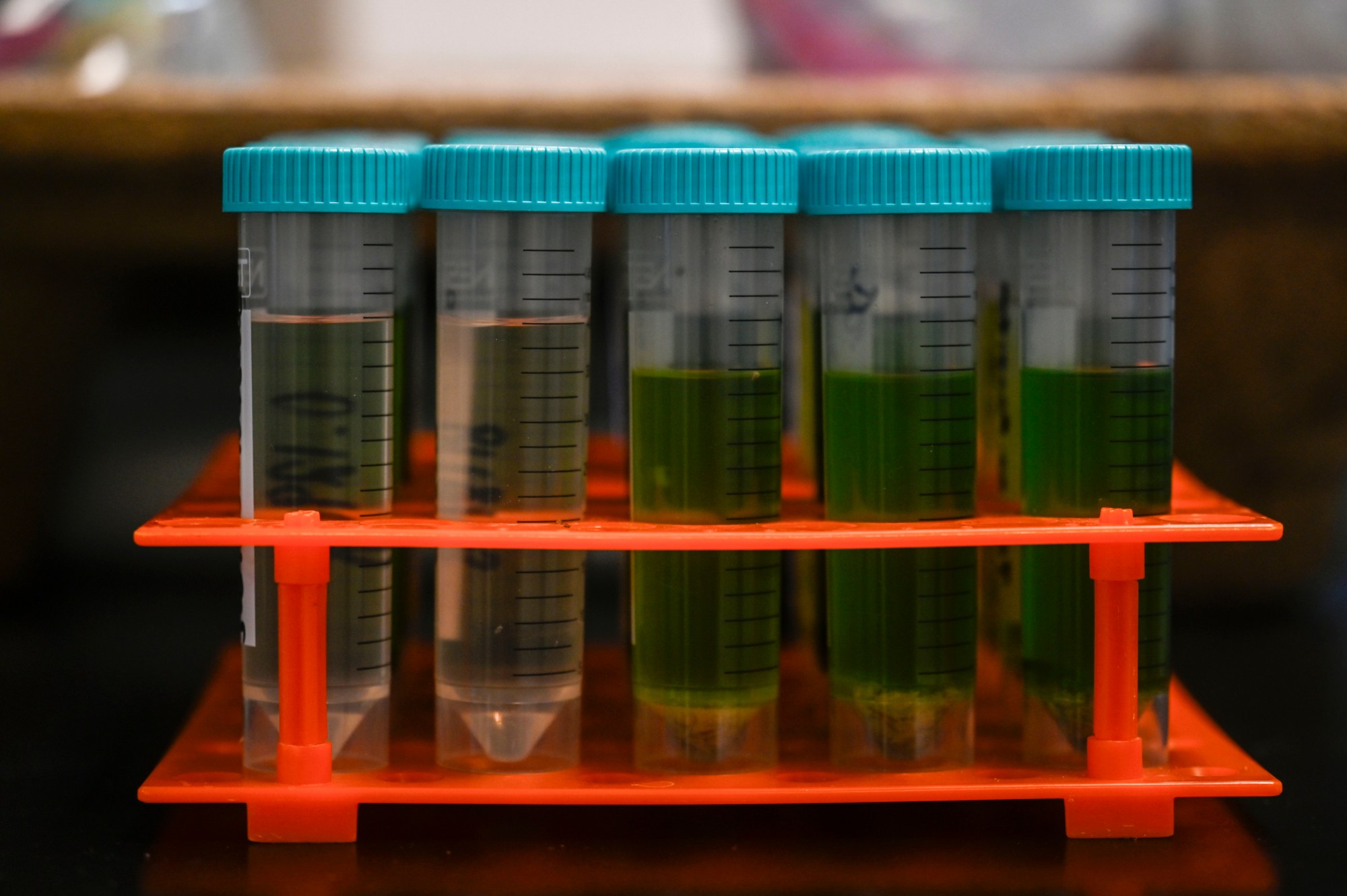 StayCon Marijuana Company Recalls Dozens of Contaminated Products — ProPublica