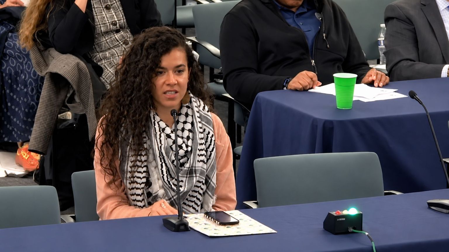 The insane case of the blacked-up Palestine activist