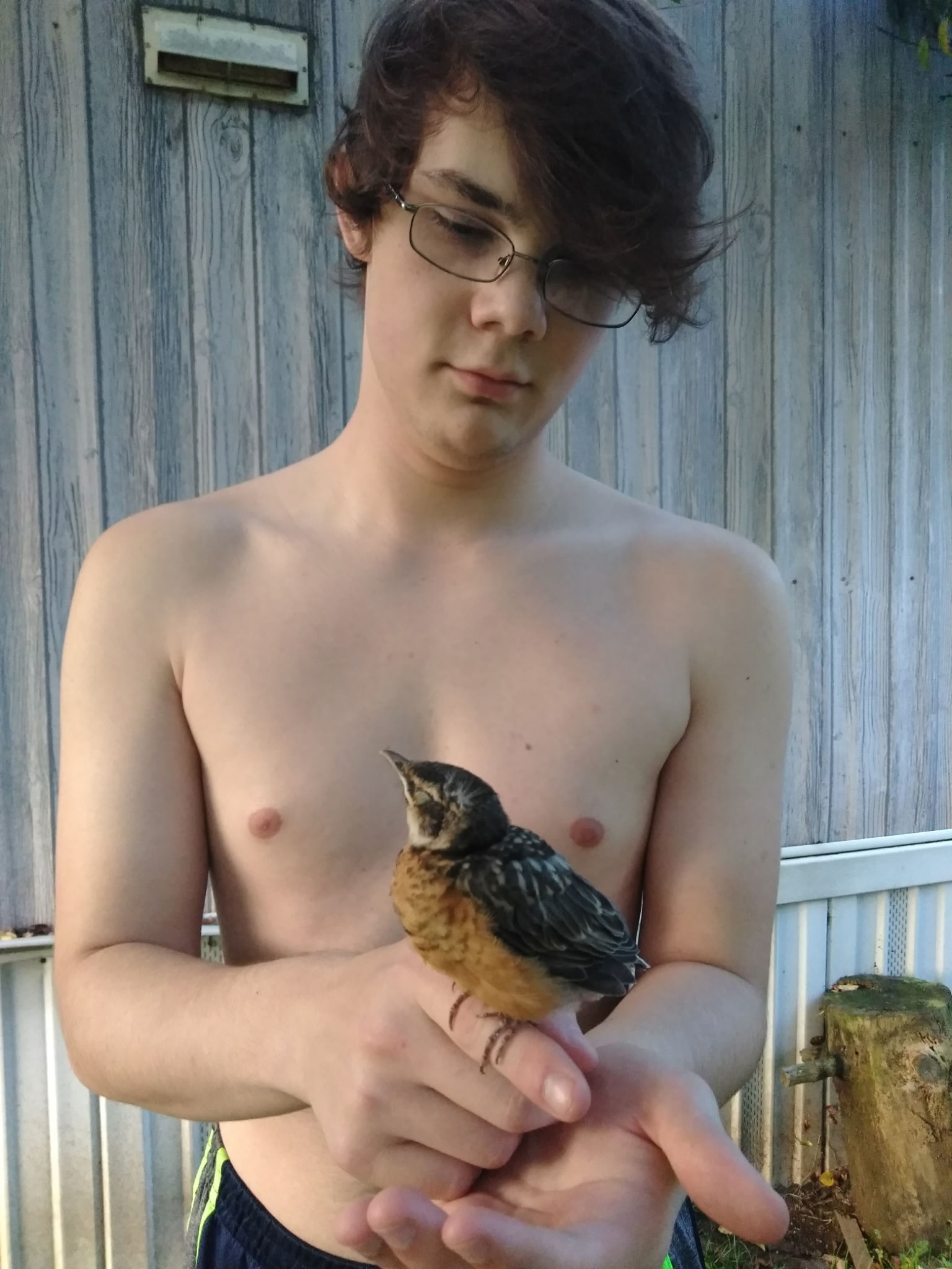 A shirtless boy with glasses holds a robin in his hands.