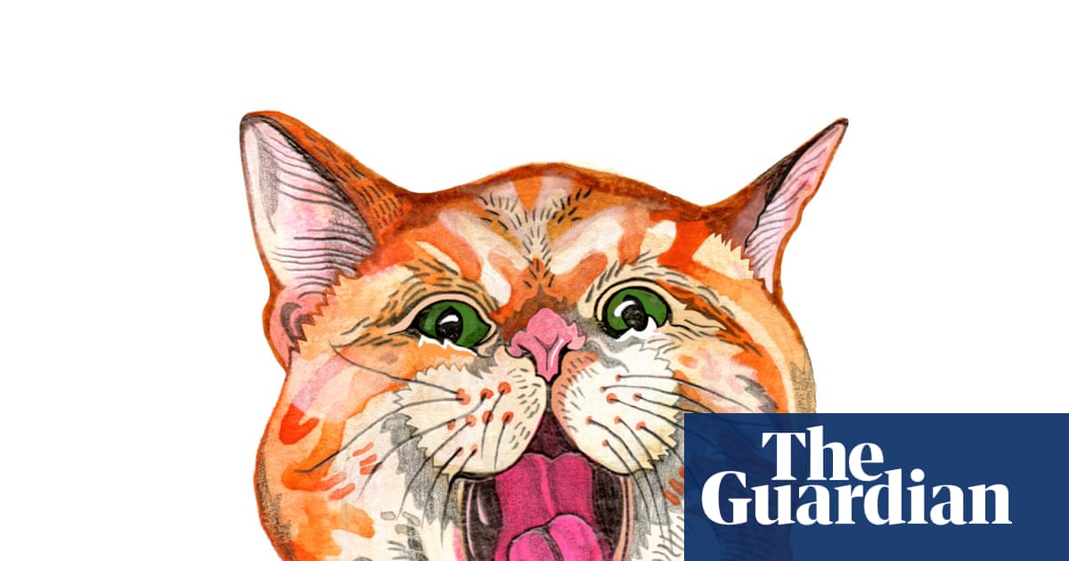 Why do cats miaow and what’s the most powerful Pokémon? The kids’ quiz | Family