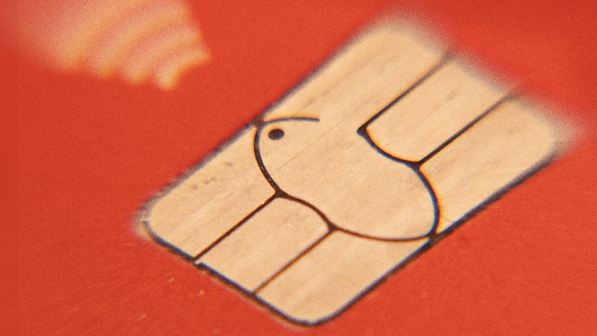 Trump Administration to Require Chips on SNAP Cards — ProPublica