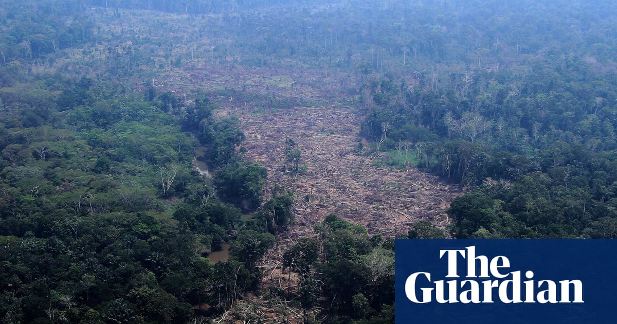 Brazilian Amazon deforestation falls to lowest on record as pivotal vote looms | Amazon rainforest