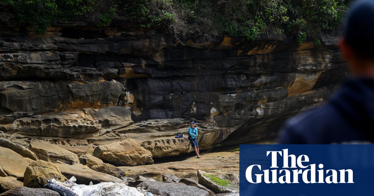 ‘Almost looks fake’: two Sydney beaches closed after whale carcass washes up | Sydney