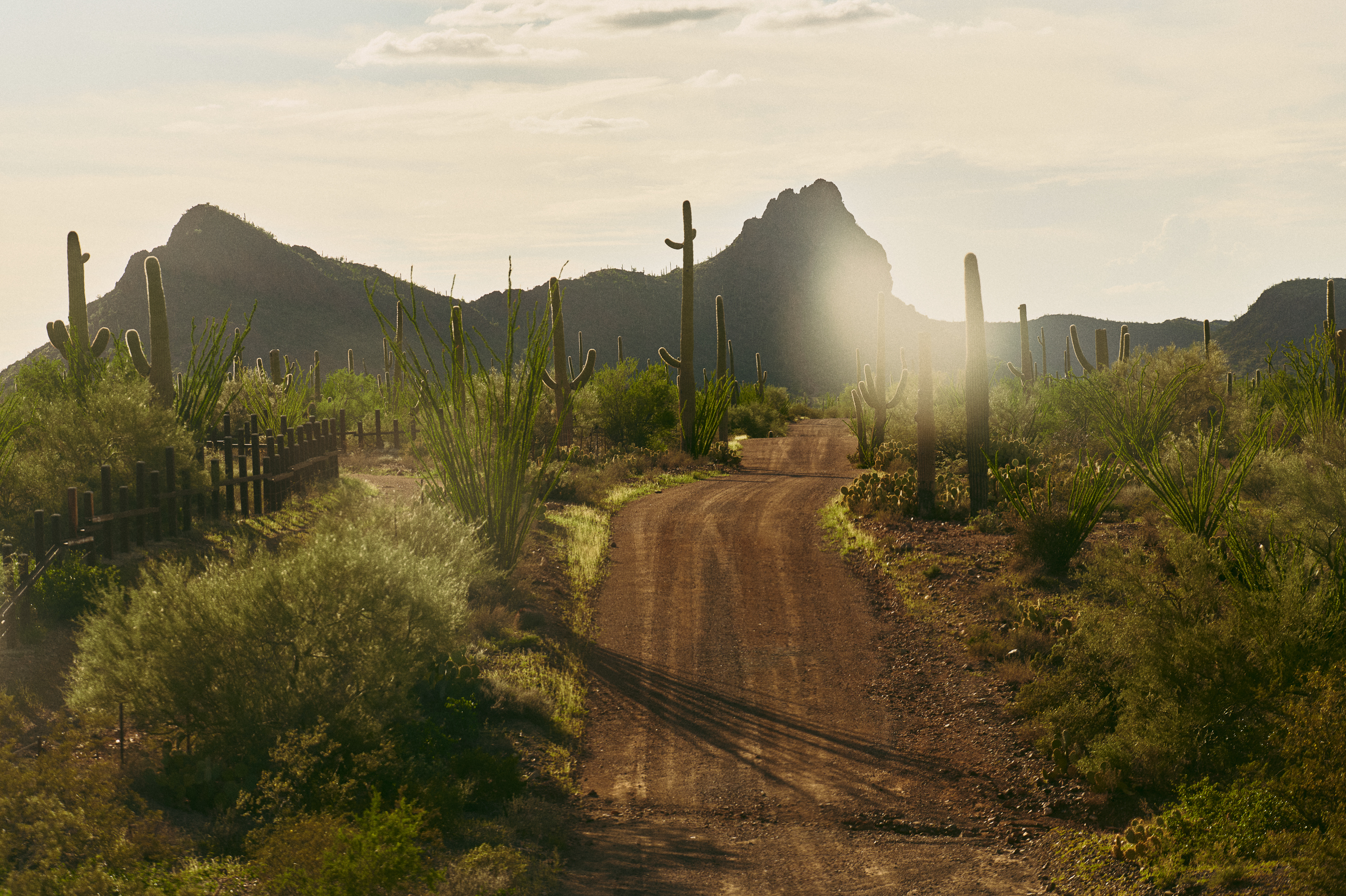 A dirt road passes through a lush Southwestern desert landscape. There is a heavy metal fence on the left side of the frame and a jagged mountain formation on the horizon.