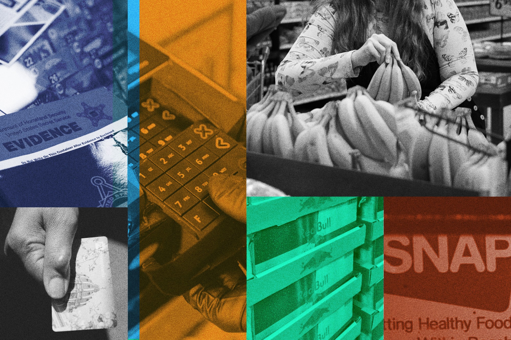 Scammers Steal SNAP Benefits With Skimmers, but Congress Won’t Act — ProPublica